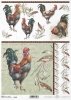 Wielkanoc, retro, vintage, kogut, kogucik, ornament, Easter, rooster, Ostern, Hahn, Pascua, gallo, adorno 